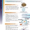 GCSE– Chemistry Exam Guide With Key Points and Workbook  (Pearson Edexcel) - Image 4